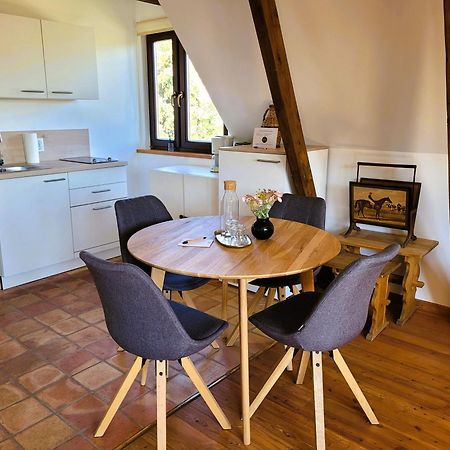 Landhaus Am Kurpark Baden Extérieur photo